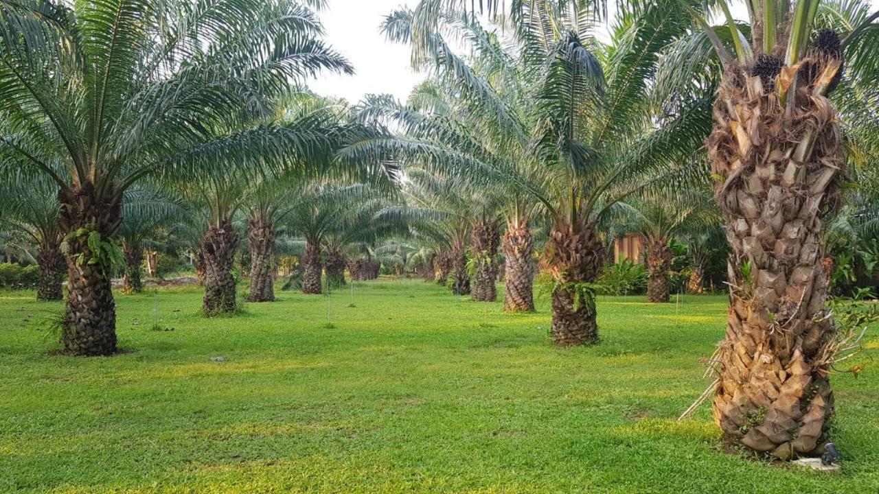 Palm Pran Resort Pran Buri Zewnętrze zdjęcie
