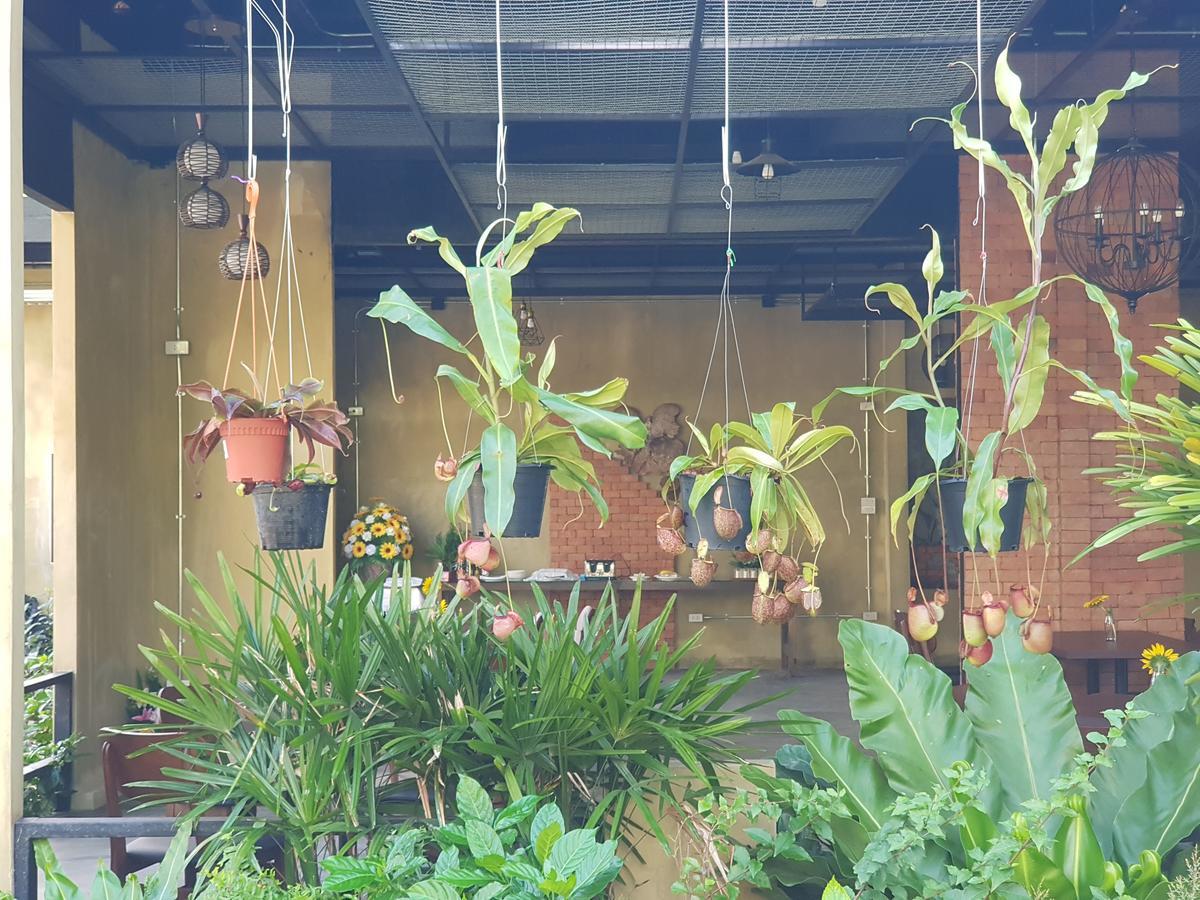 Palm Pran Resort Pran Buri Zewnętrze zdjęcie
